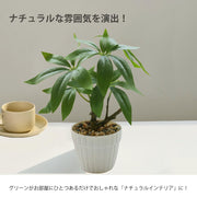 フェイクグリーン 人工観葉植物 観葉植物 フェイク 造花 パキラ 水やり不要 お手入れ簡単 鉢植え インテリア 人工 鉢付き フェイク植物 室内 屋外 玄関 オフィス お祝い卓上 ミニ 小型 (23ｃｍ) - 4