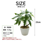 フェイクグリーン 人工観葉植物 観葉植物 フェイク 造花 パキラ 水やり不要 お手入れ簡単 鉢植え インテリア 人工 鉢付き フェイク植物 室内 屋外 玄関 オフィス お祝い卓上 ミニ 小型 (23ｃｍ) - 5