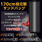 サンドバッグ 自立型 自宅用 スタンド型 倒れない 家庭用 パンチングバッグ トレーニング ボクササイズ 大人 子供 - 2