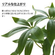 フェイクグリーン 人工観葉植物 観葉植物 フェイク 造花 パキラ 水やり不要 お手入れ簡単 鉢植え インテリア 人工 鉢付き フェイク植物 室内 屋外 玄関 オフィス お祝い卓上 ミニ 小型 (23ｃｍ) - 7