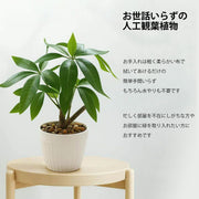 フェイクグリーン 人工観葉植物 観葉植物 フェイク 造花 パキラ 水やり不要 お手入れ簡単 鉢植え インテリア 人工 鉢付き フェイク植物 室内 屋外 玄関 オフィス お祝い卓上 ミニ 小型 (23ｃｍ) - 3