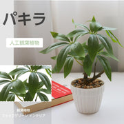 フェイクグリーン 人工観葉植物 観葉植物 フェイク 造花 パキラ 水やり不要 お手入れ簡単 鉢植え インテリア 人工 鉢付き フェイク植物 室内 屋外 玄関 オフィス お祝い卓上 ミニ 小型 (23ｃｍ) - 2