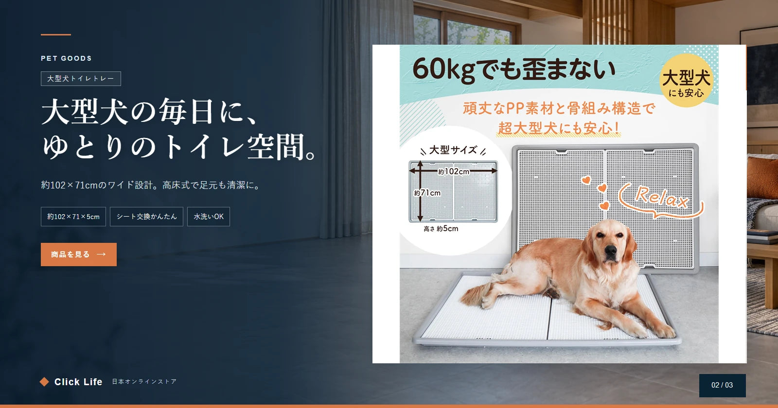 大型犬の毎日に、ゆとりのトイレ空間
